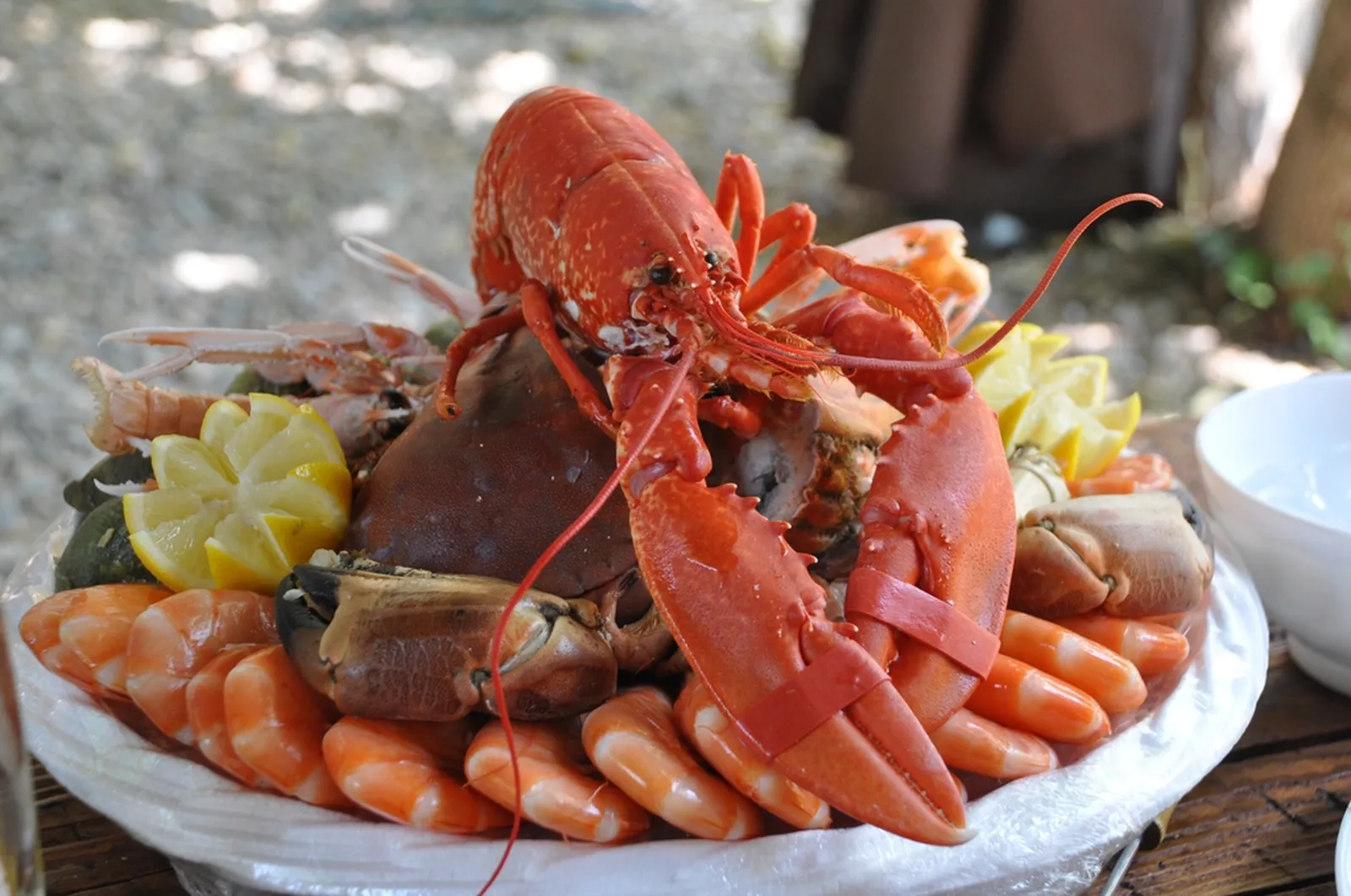 Plateau de fruits de mer