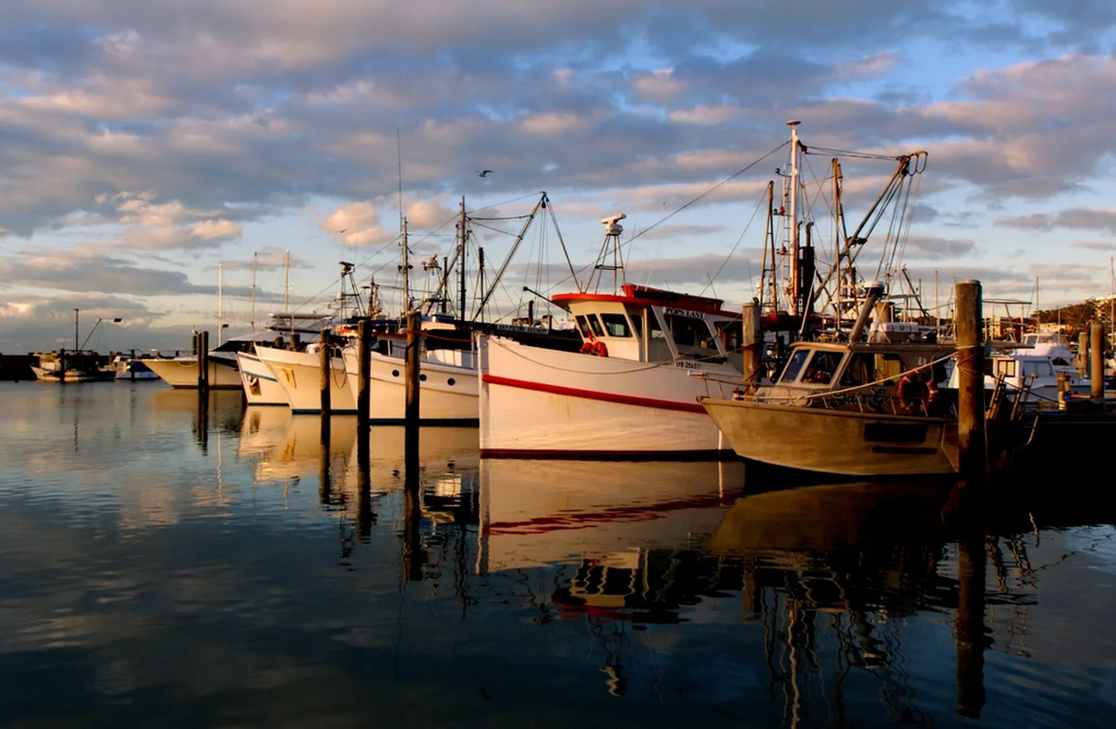 Bateaux de pêche au port